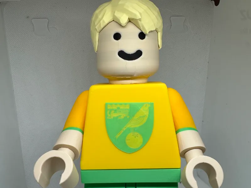 Norwich city fc brick man big brick