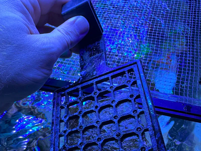 Nori Feeder mit Pins zum Algenblatt fixieren
