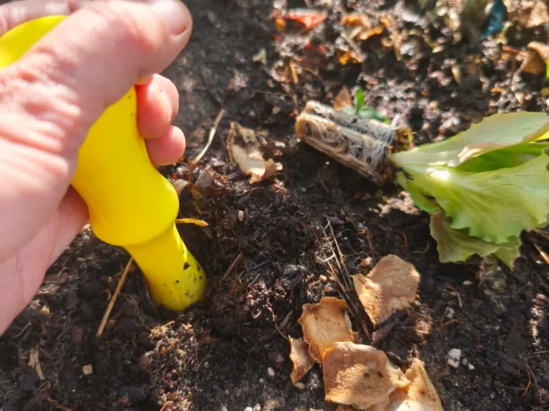 Seed dibber/Seed sowing tool