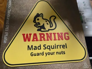 Mad Squirrel Warning