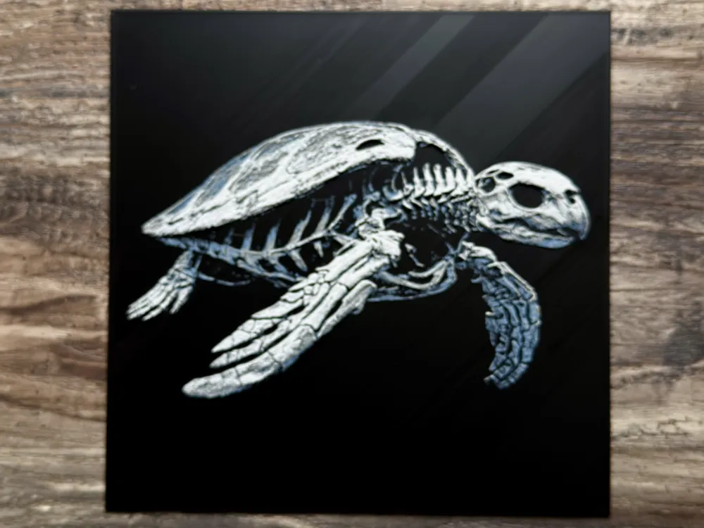 Turtle Skeleton Model Sea Turtle Skeleton - Free 3D Print Model - MakerWorld