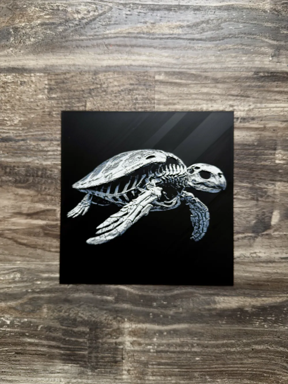 Turtle Skeleton Model Sea Turtle Skeleton - Free 3D Print Model - MakerWorld