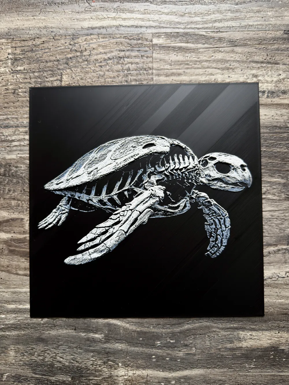 Sea Turtle Skeleton - Free 3D Print Model - MakerWorld