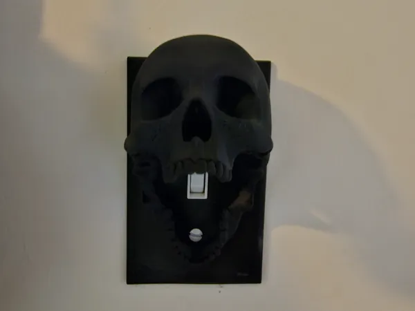 https://makerworld.bblmw.com/makerworld/model/USb06a109b8de51/design/2024-08-11_b3d545722e44e.jpg
