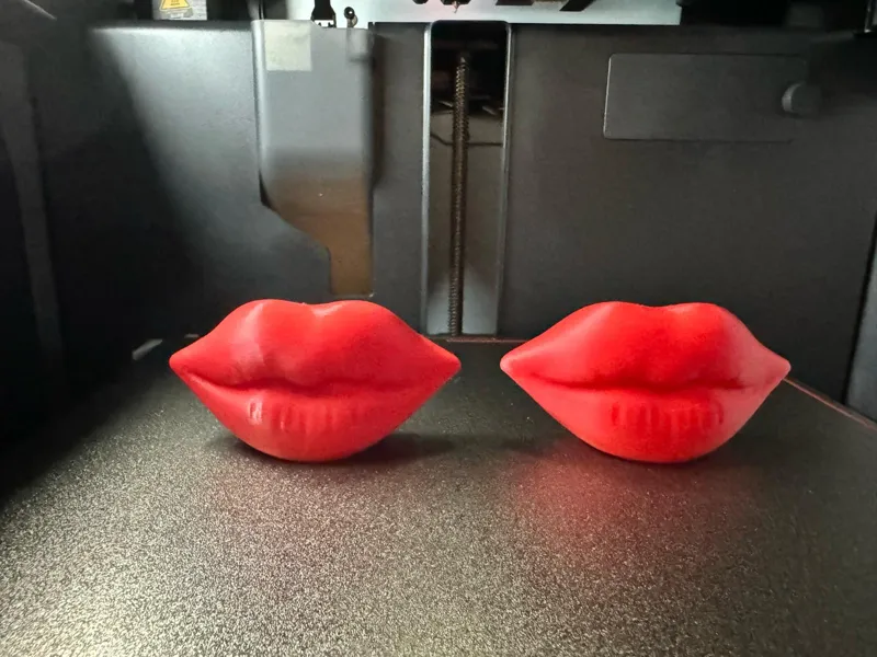 3D Lips Standing Decor