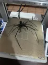 Single Color - 0.16mm layer, 2 walls, 15% infill