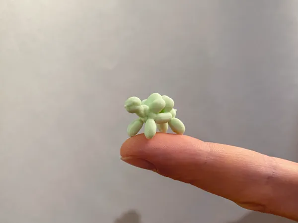 https://makerworld.bblmw.com/makerworld/model/USb07606895af1fe/design/2025-01-27_f1d4faf23c88a.jpg