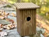 Carolina/Other Wrens - X/P/A Printers - Corrected Dimensions