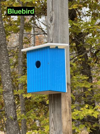 Species-Specific Camera Birdhouses