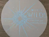 0.12mm layer, 2 walls, 15% infill