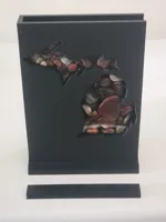 Single Window