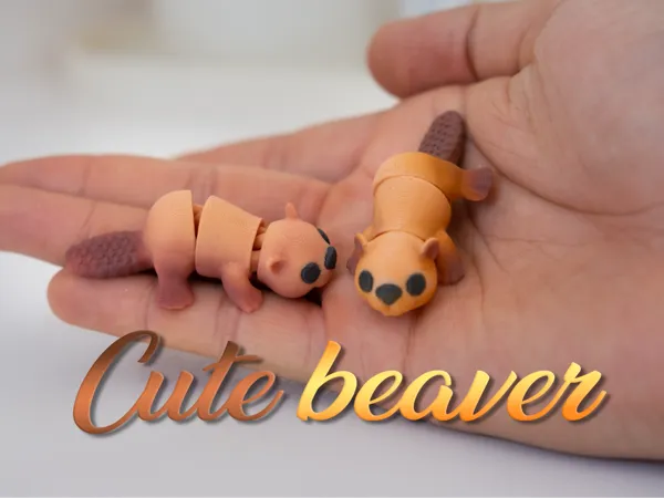 https://makerworld.bblmw.com/makerworld/model/USb07b1dbb42fda9/design/2025-04-15_2d75943d62d3c8.jpg