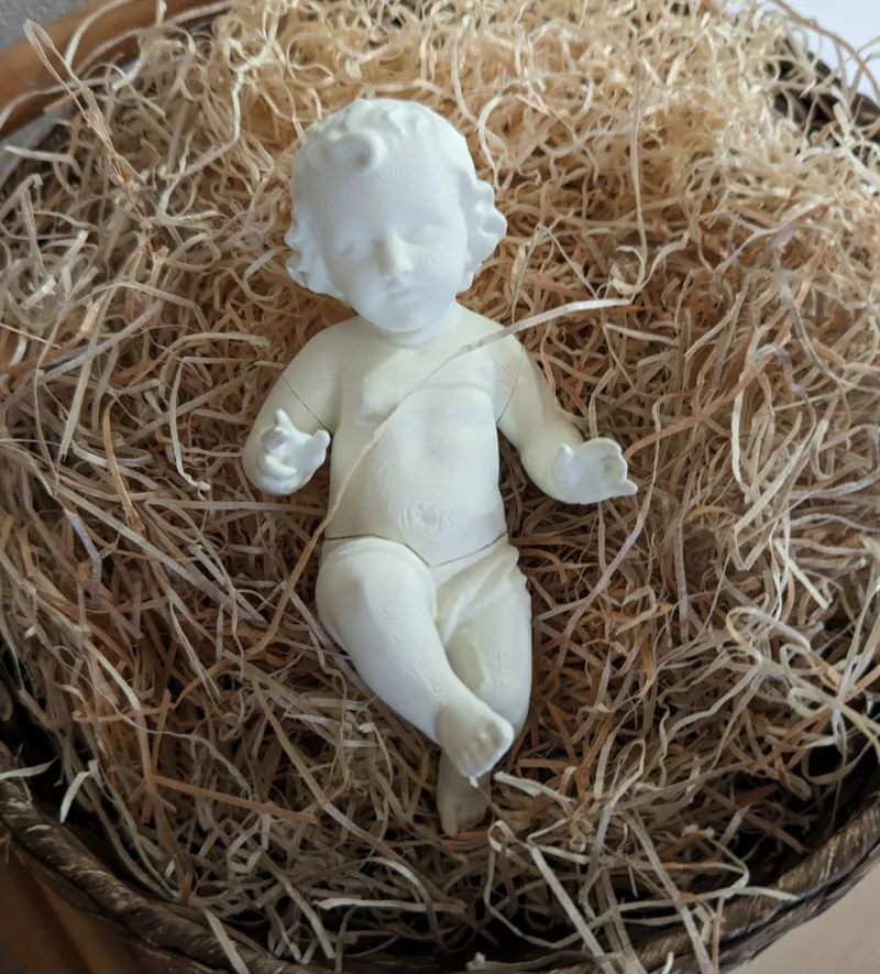 Gusu bambino