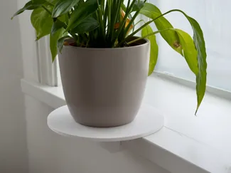 Windowsill clamp plant stand