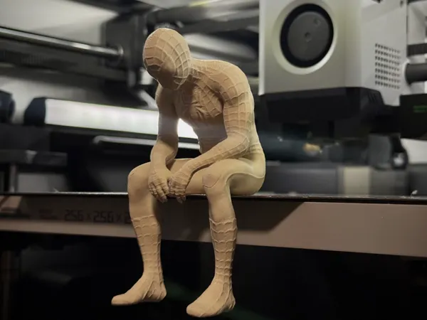 https://makerworld.bblmw.com/makerworld/model/USb08cc8aff26a5d/design/75dc86746b421c3b.jpeg