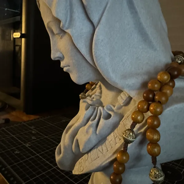 https://makerworld.bblmw.com/makerworld/model/USb08eb802114b90/design/2024-01-17_75dad8a51d24.jpg