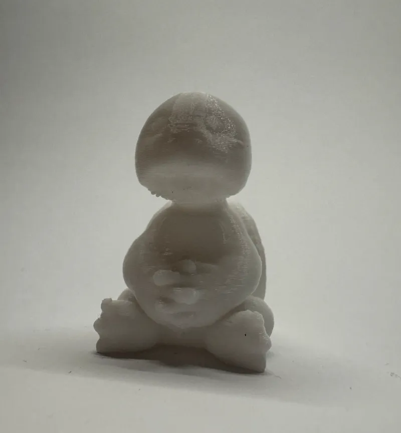 Sitting turtle