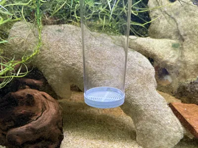 Python Water Change Cap