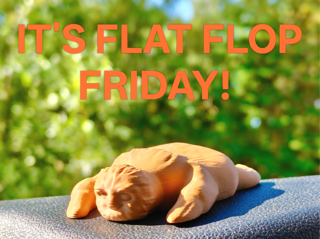 Flat Flop Friday! - Sloth 