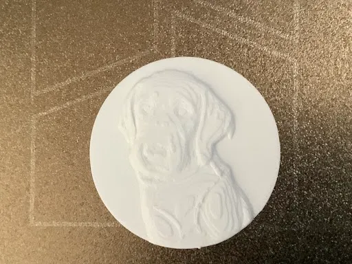 Coin of my Dog