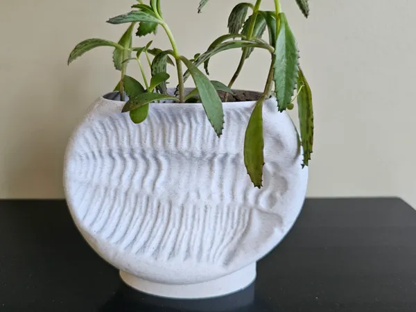 https://makerworld.bblmw.com/makerworld/model/USb0966ce709ad50/design/2025-02-24_1a29e2554e4b.jpg