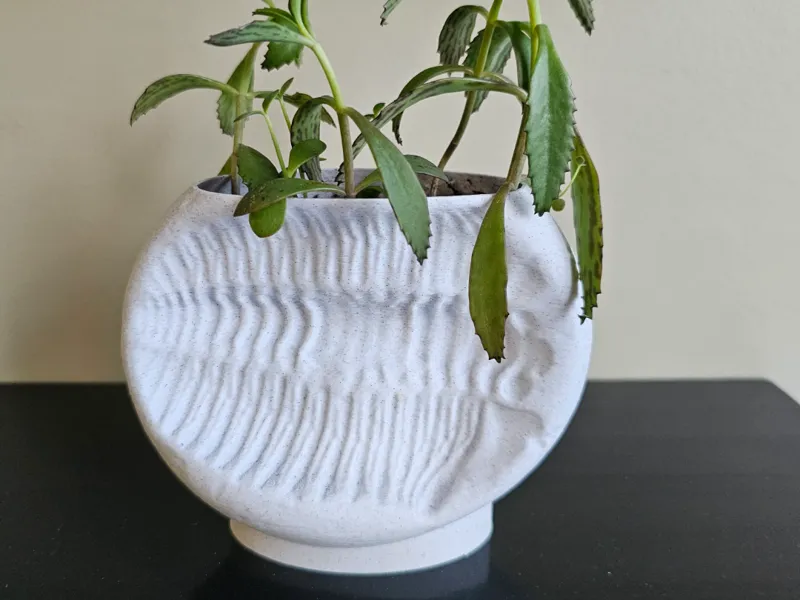 Trilobite Fossil Planter / Pencil Holder