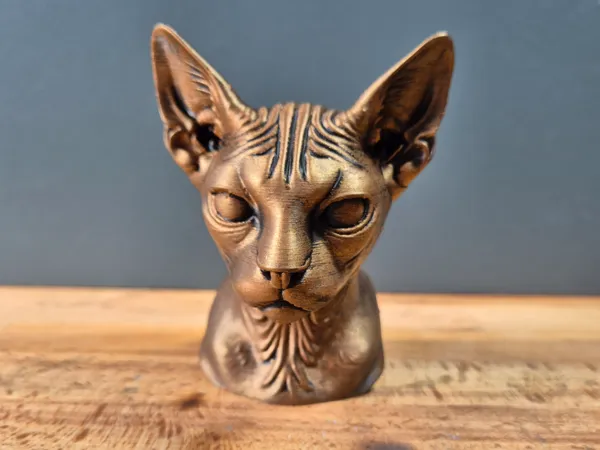 https://makerworld.bblmw.com/makerworld/model/USb097d9a8558410/design/2025-06-03_f1ef37491582.jpg