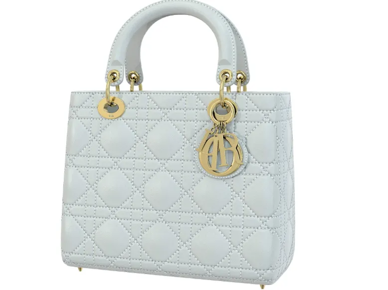 Lady Dior Purse mp3