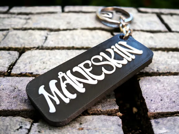 https://makerworld.bblmw.com/makerworld/model/USb0a42afb28ac5d/design/2024-06-03_c942bb65a7e43.png