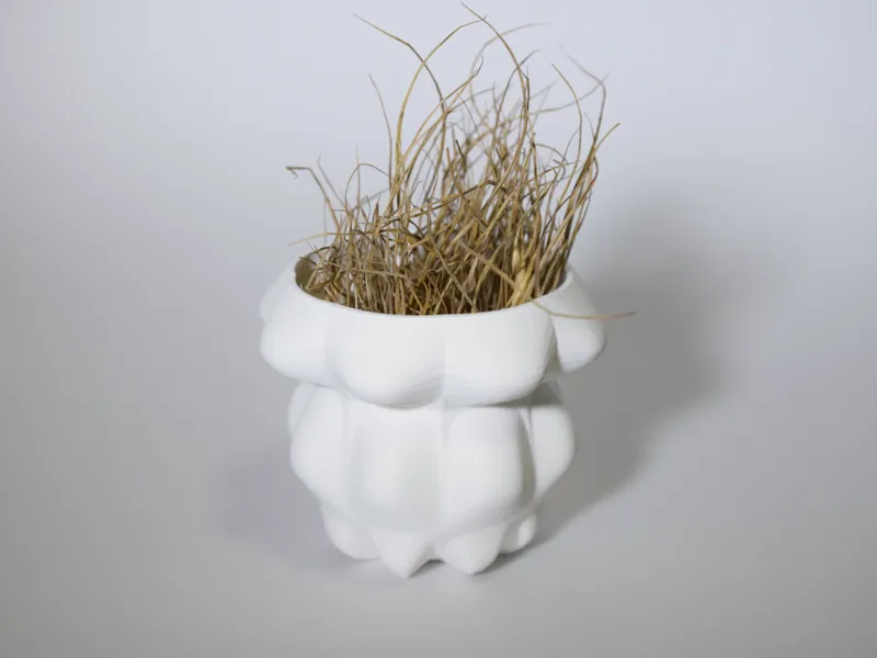 Parametric Vase