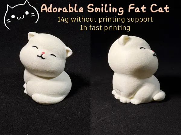 https://makerworld.bblmw.com/makerworld/model/USb0b2844cc4f6ee/design/2024-10-31_5c2e22f8d2f31.jpg