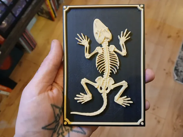 https://makerworld.bblmw.com/makerworld/model/USb0b2a44061d55e/design/2026-01-17_e3d23b371a3d48.jpg