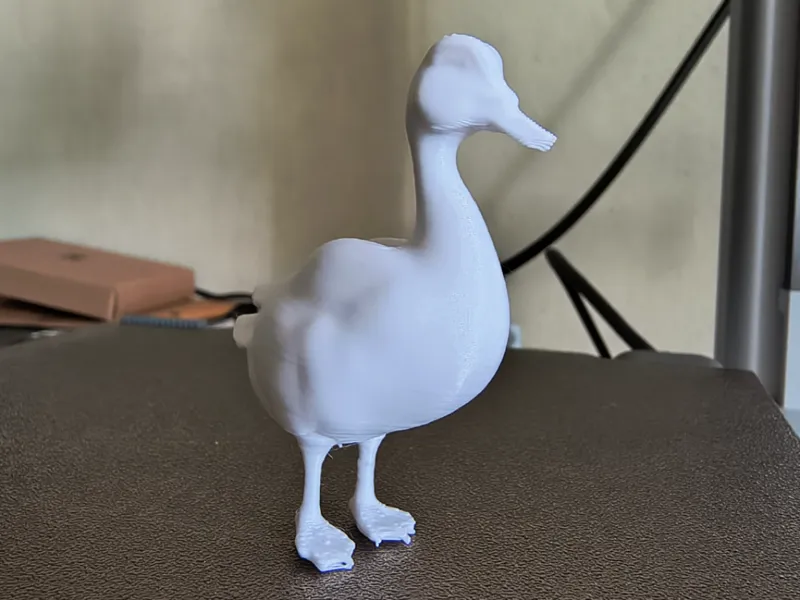Duck