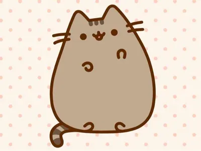rikuspakipus