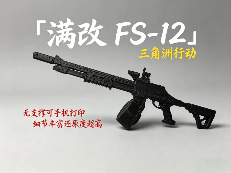 三角洲行动 满改 FS-12
