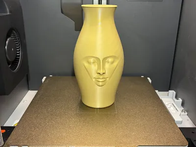 3D Printed Vase with Face
