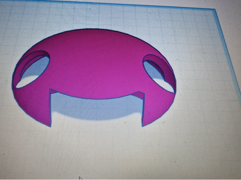 cat hat