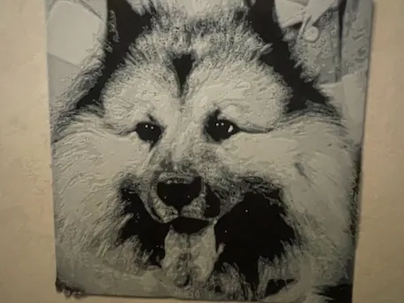 Eurasier Hueforge