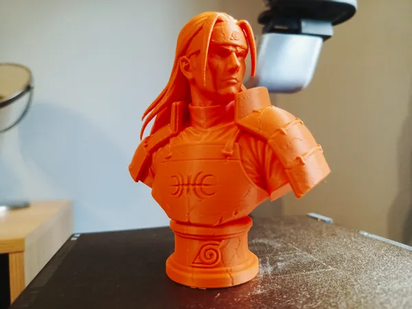 https://makerworld.bblmw.com/makerworld/model/USb0c3c02862b700/design/2ad42d3eed328531.jpg