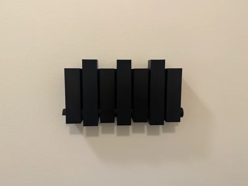 Sleek Modern Coat Hanger/Wall Art