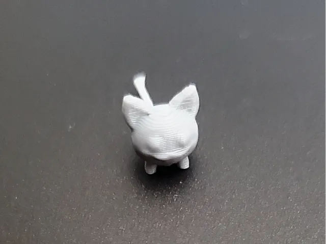 cat earrings