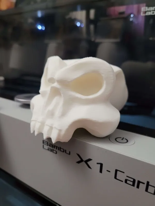 https://makerworld.bblmw.com/makerworld/model/USb0d171a1ea333d/design/2023-10-07_c4449875921c5.jpg