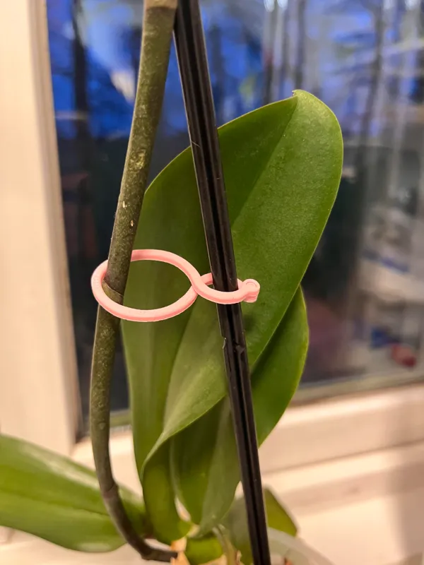 https://makerworld.bblmw.com/makerworld/model/USb0d1f5307ecf27/design/2024-04-03_b373575540bbb.jpg