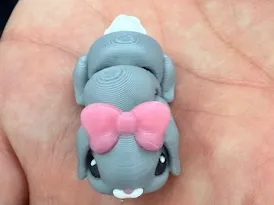flexi bunny