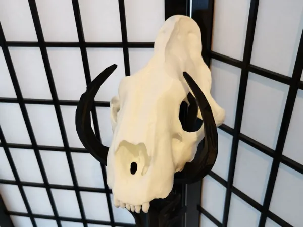 https://makerworld.bblmw.com/makerworld/model/USb0dc13e0ec9fd3/design/2025-03-15_4cf6001e27226.jpg