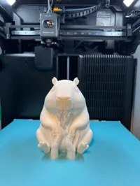Lampe LED capybara — photo 8