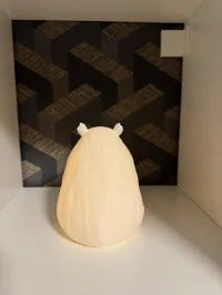 Lampe LED capybara — photo 5