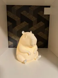Lampe LED capybara — photo 3