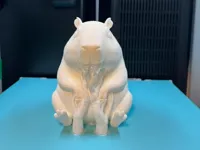 Lampe LED capybara — photo 1