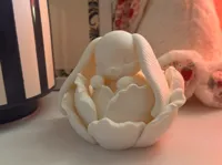 0.2mm layer, 2 walls, 5% infill